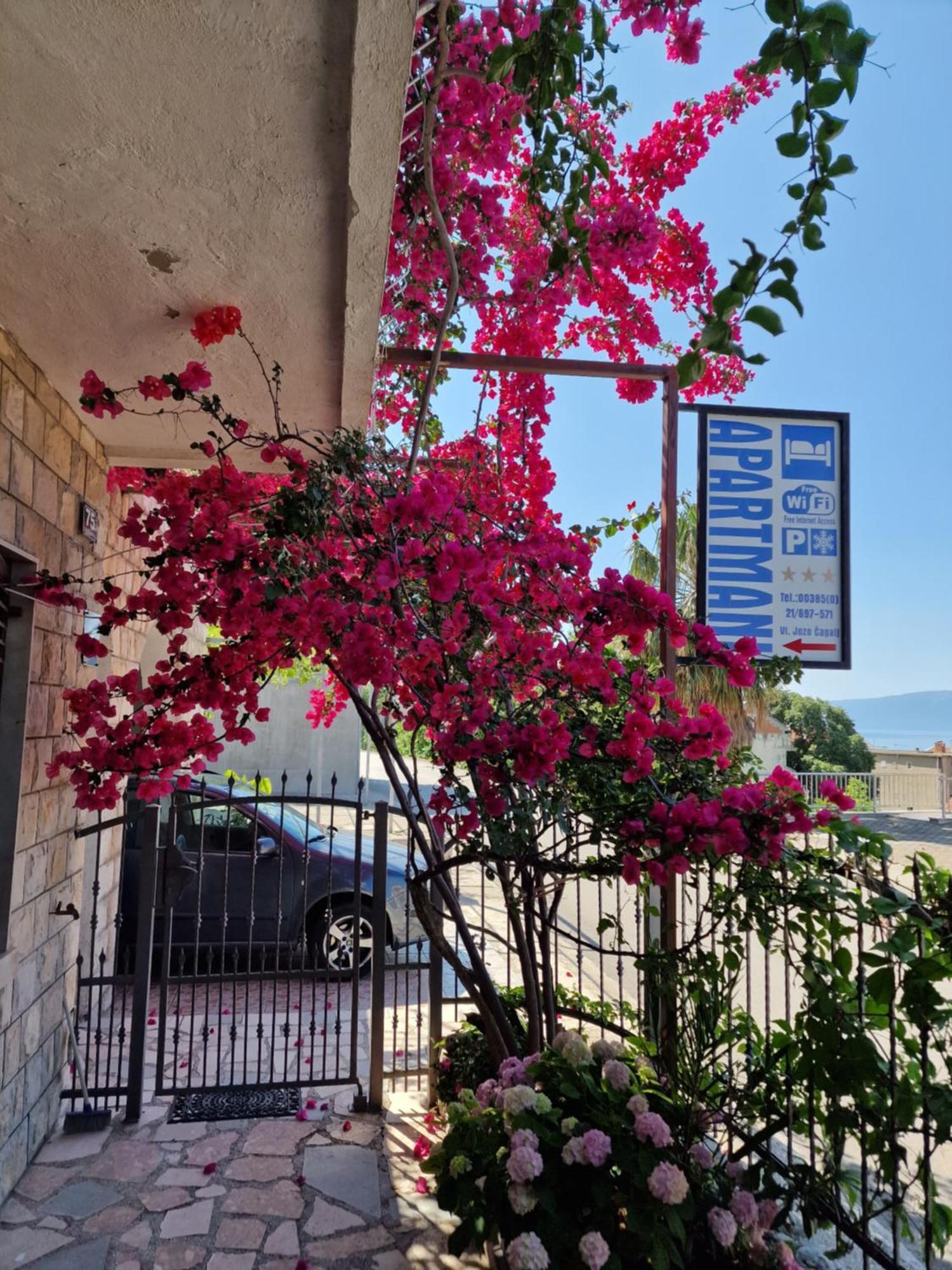 גראדאץ Apartments Palma מראה חיצוני תמונה